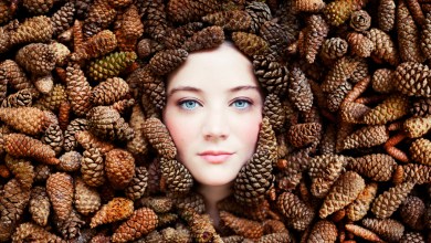 Photo of 40 Beautiful Photos Taken With 50mm Lens